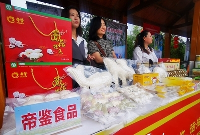 滄州黃驊:千年棗園果飄香 特色興農促振興